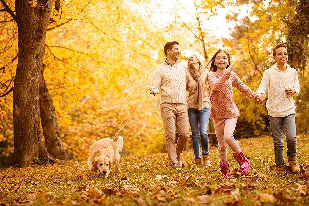 istock Family in autumn park with their dog 607655120