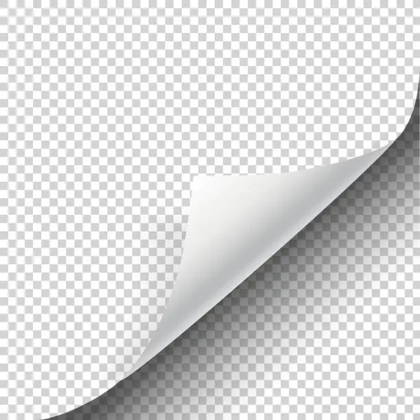Vector illustration of Page curl with shadow and blank sheet of paper isolated