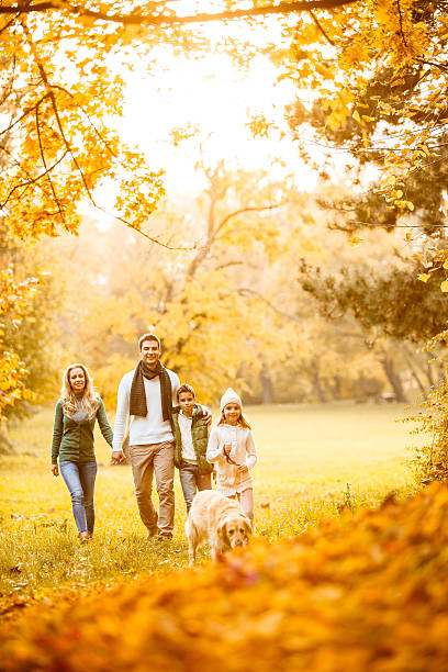familie im herbstpark mit hund - family four people smiling autumn stock-fotos und bilder