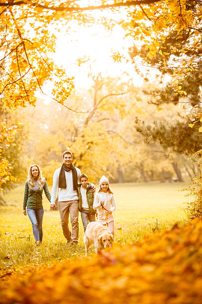 istock Family in autumn park with their dog 607655604