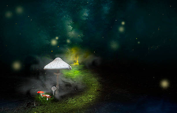 istock Mystery road on fanatsy forest with lights and mushrooms 607732516