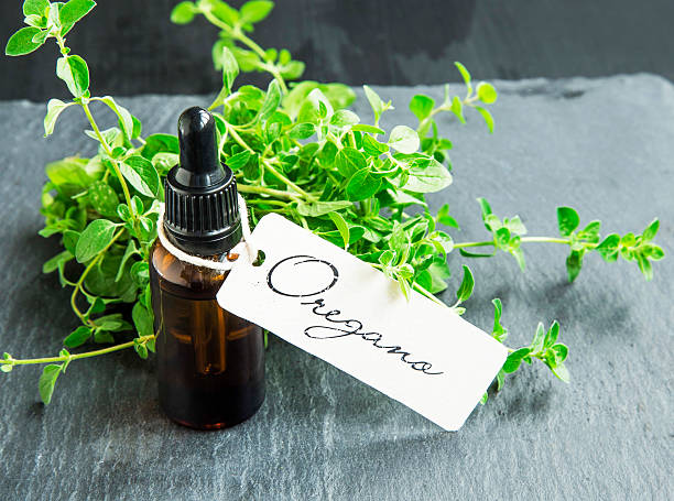 oregano oil bottle with label - oregano imagens e fotografias de stock