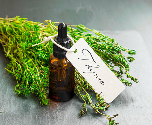istock Thyme oil bottle with label and thyme bunch 607734130