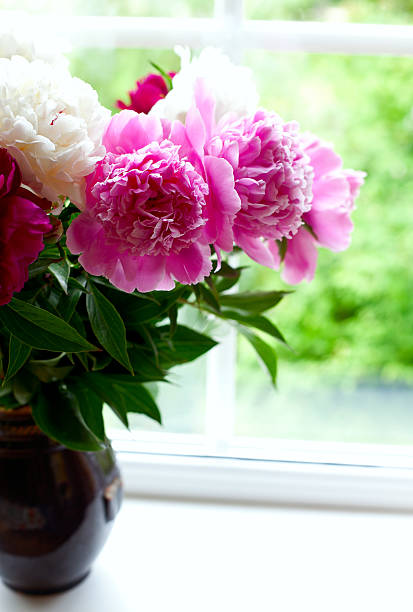 istock vase with colorful peonies on window-sill 607735012