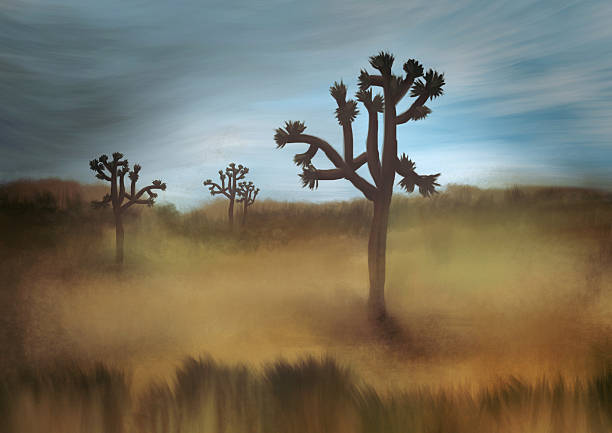 Joshua Tree Joshua Tree, digital painting mojave desert stock illustrations