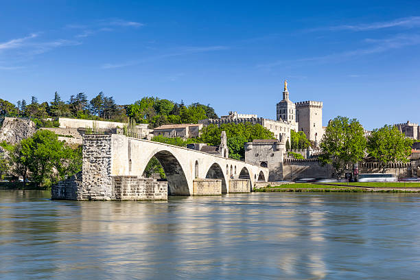 istock Saint Benezet bridge and Palace of the Popes 607738812