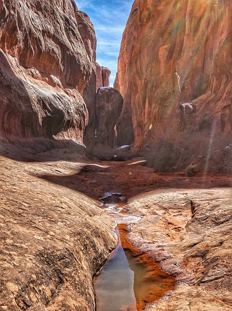 istock Red Rock Water Reflection Towering Structures, Fiery Furnace, Arches, Utah 607739192