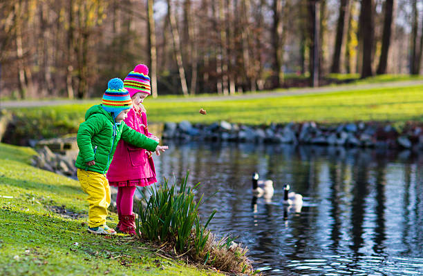 istock Kids feeding ducks in autumn park on cold sunny day 607740802