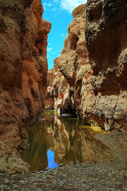istock Sesriem canyon of Tsauchab river 607741510