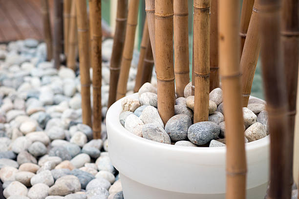 Round rocks and vase with bamboo