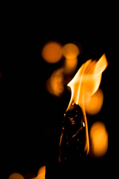 fogo chamas sobre fundo preto - forest fire power actions nature imagens e fotografias de stock
