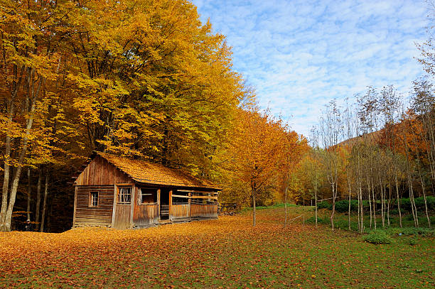 Wood Cabin (Waldlerhauser) in Bavaria - Germany