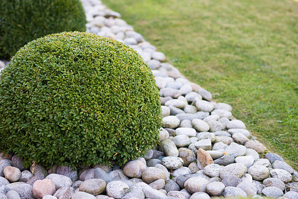 istock Round hedge with round rocks and freshly mowed lawn grass 607744164