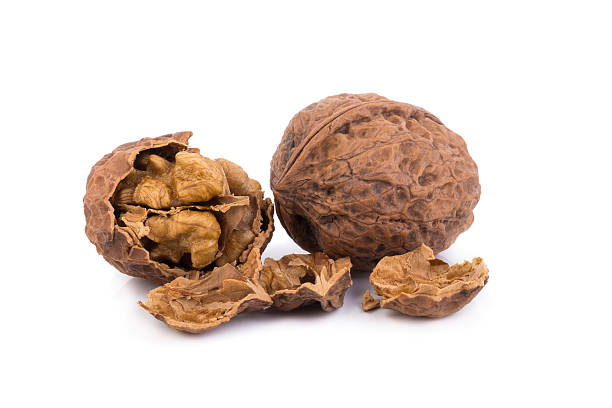 istock walnut and a cracked walnut isolated on the white background 607744184
