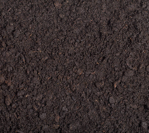 istock close up of black soil 607746278