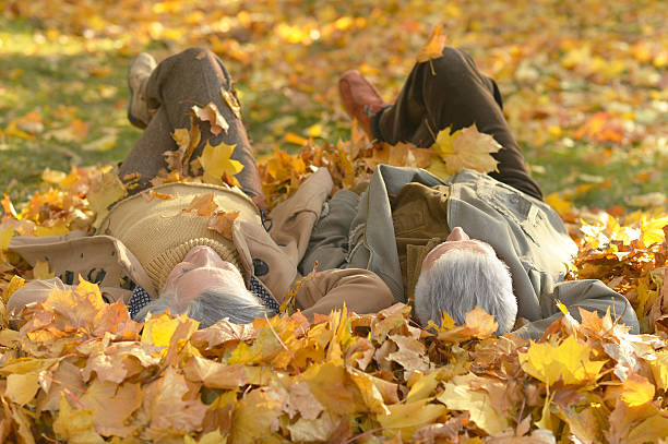 istock Senior couple in autumn park 607747326
