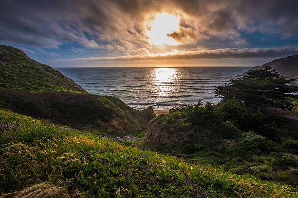 istock Gray Whale Cove Beach California 607749132