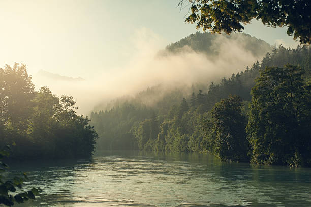 alpes e neblina no sol da manhã - mountain mist fog lake - fotografias e filmes do acervo