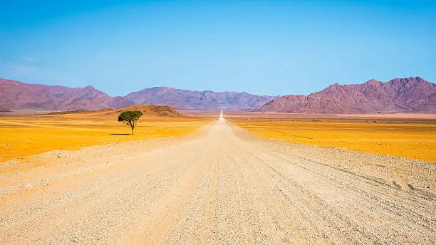 Gravel road crossing the colorful Namib desert, in the majestic Namib Naukluft National Park, best travel destination in Namibia, Africa.