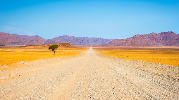 żwirowa droga przecinająca pustynię namib, namibia, afryka - valley tree remote landscape zdjęcia i obrazy z banku zdjęć