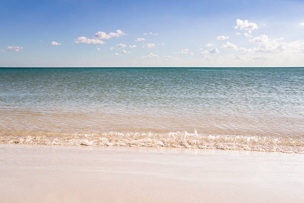 istock sea landscape with the sandy coast 607752774