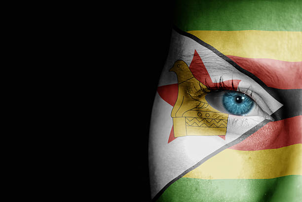 istock Supporter of Zimbabwe 607755022