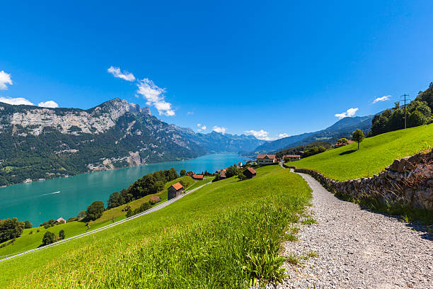 istock Panorama view Walensee lake and the Alps 607755682