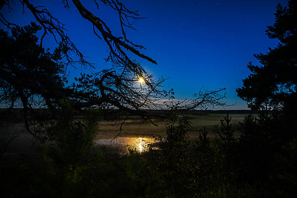 istock night view in Russian North 607756274