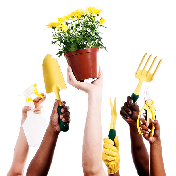 manos mixtas sosteniendo herramientas de jardín y plantas en macetas - gardening equipment trowel gardening fork isolated fotografías e imágenes de stock