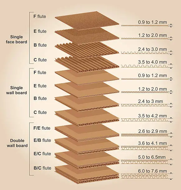 Vector illustration of Corrugated cardboard thickness