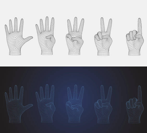 illustrations, cliparts, dessins animés et icônes de pose à la main de comptage filaire vectoriel 3d dans différents styles - second skin