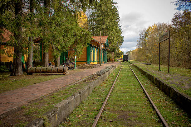 istock Old vintage railway station with train in Poland, Bialowieza, 607760882