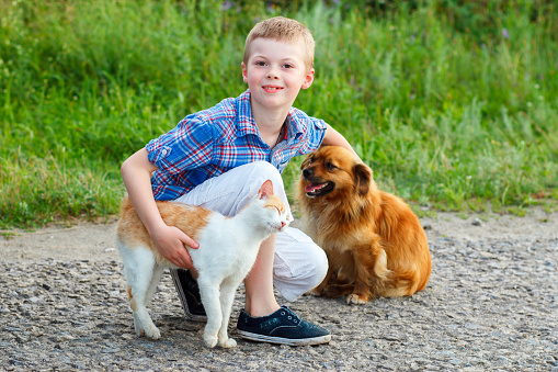 smiling little boy with a cat and a dog sitting on the road, the guy stroking a dog, a cat rubs against the leg of the child