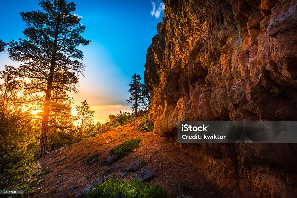 Red Canyon near Bryce at Sunset Red Canyon at Sunset near Bryce Panguitch Utah United States Blue Stock Photo