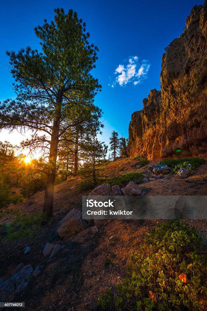 Red Canyon near Bryce at Sunset Red Canyon at Sunset near Bryce Panguitch Utah United States Blue Stock Photo