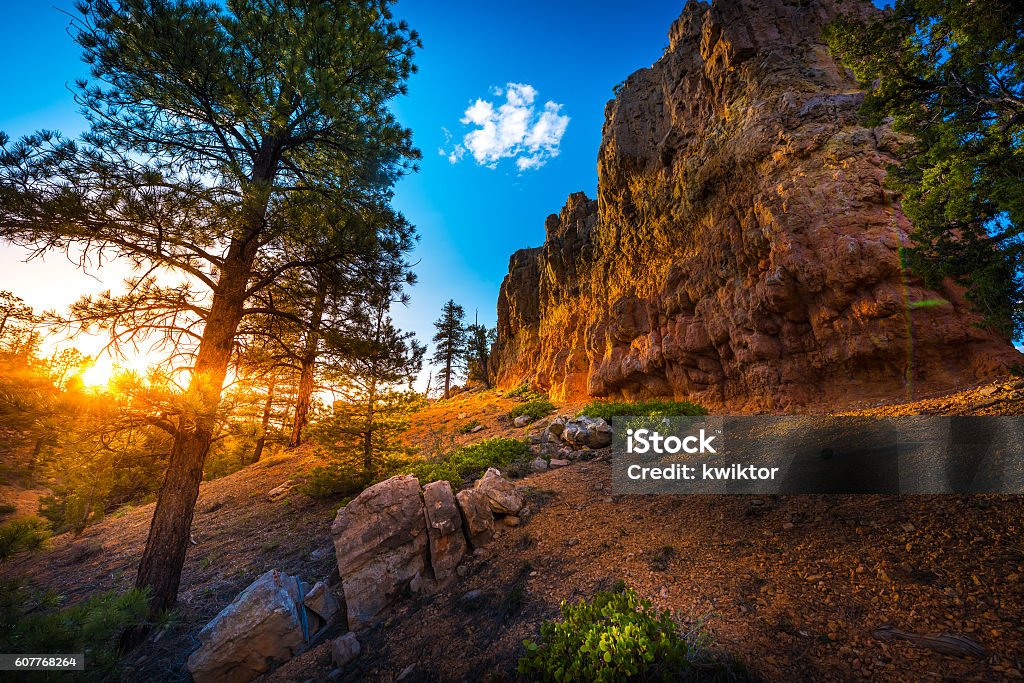 Red Canyon near Bryce at Sunset Red Canyon at Sunset near Bryce Panguitch Utah United States Utah Stock Photo