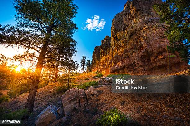 Red Canyon Near Bryce At Sunset Stock Photo - Download Image Now - Utah, Blue, Bryce Canyon