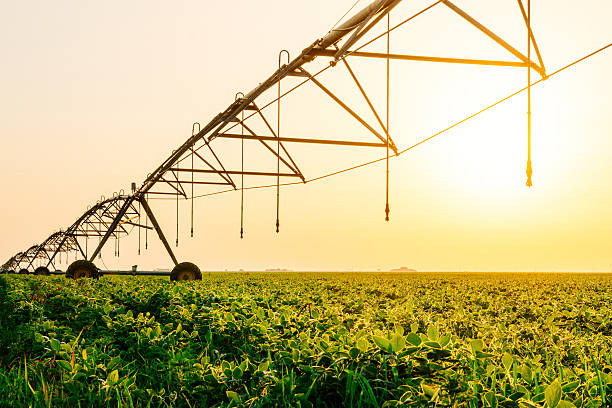 istock Irrigation system on soybean field in sunset on farm 607770158
