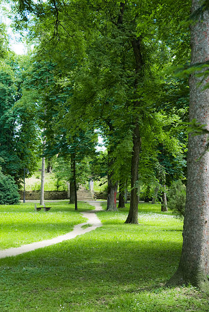 istock Alley in the park and pedestrian trail 607770504