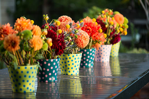 Flower arrangements in polka dot pots lit by the sun in a backyard.
