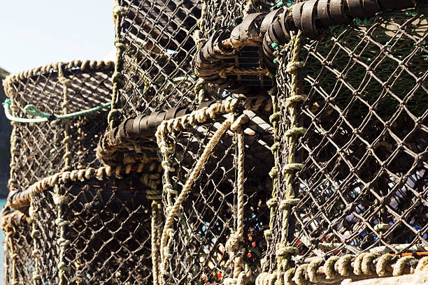 istock Lobster traps in the harbour, Port Issac 607774378