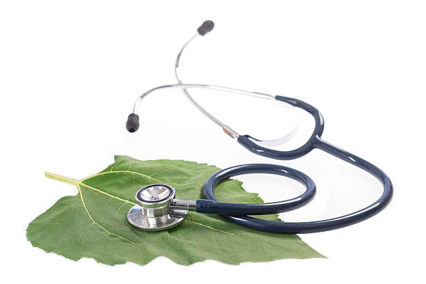 istock Alternative medicine herbs and stethoscope on leaf 607776526