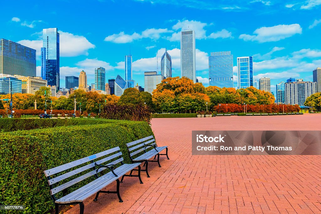 Skyscraper of Chicago Skyline and Grant Park,ILL (P) Chicago skyline with lush autumn foliage of Grant Park, Illinois Chicago - Illinois Stock Photo