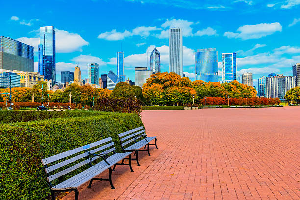 Skyscraper of Chicago Skyline and Grant Park,ILL (P) Chicago skyline with lush autumn foliage of Grant Park, Illinois grant park stock pictures, royalty-free photos & images