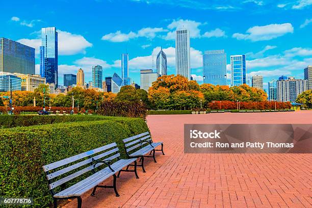 Skyscraper Of Chicago Skyline And Grant Park Ill Stock Photo - Download Image Now