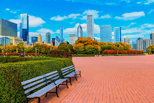 skyscraper of chicago skyline and grant park,ill (p) - grant park stok fotoğraflar ve resimler