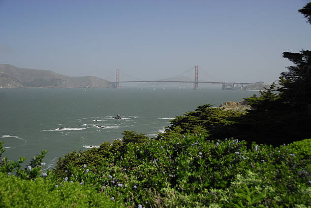istock Distant View Of Golden Gate Bridge Against Clear Blue Sky 607834493