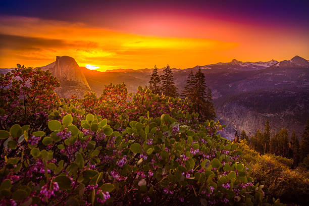 istock Yosemite National Park Sunrise Glacier Point 607878292