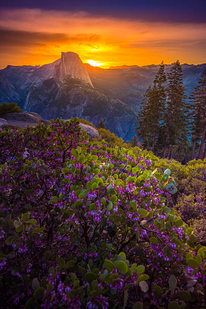 istock Yosemite National Park Sunrise Glacier Point 607878326
