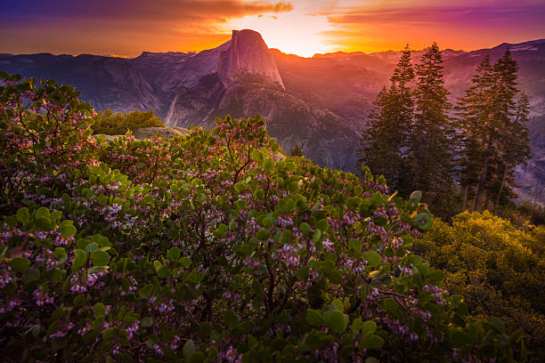 istock Yosemite National Park Sunrise Glacier Point 607878346